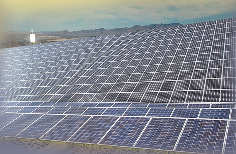 solar plant image