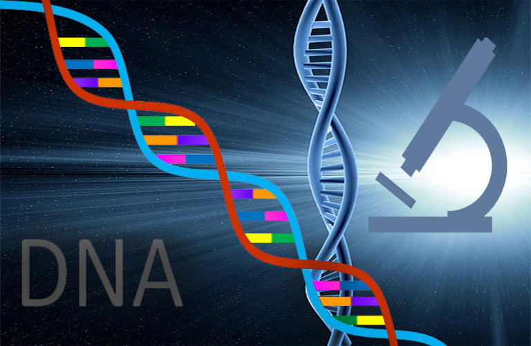 dna image