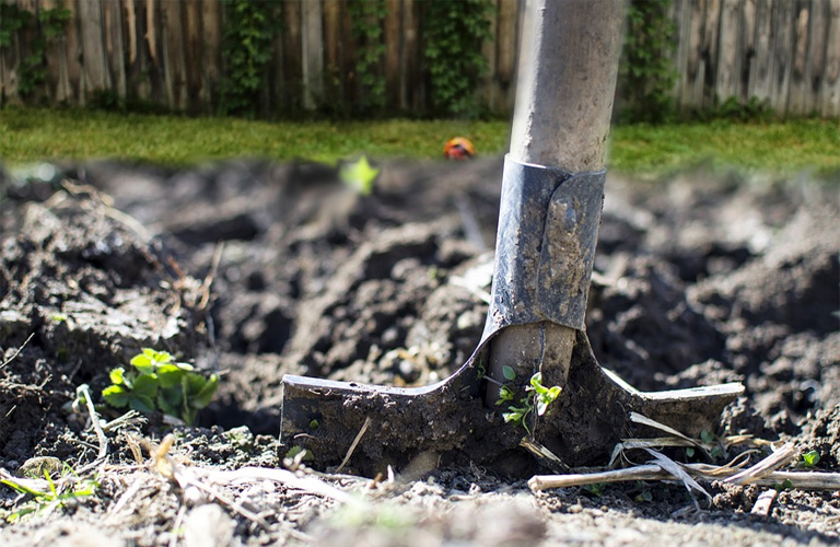 backyard landscaping image