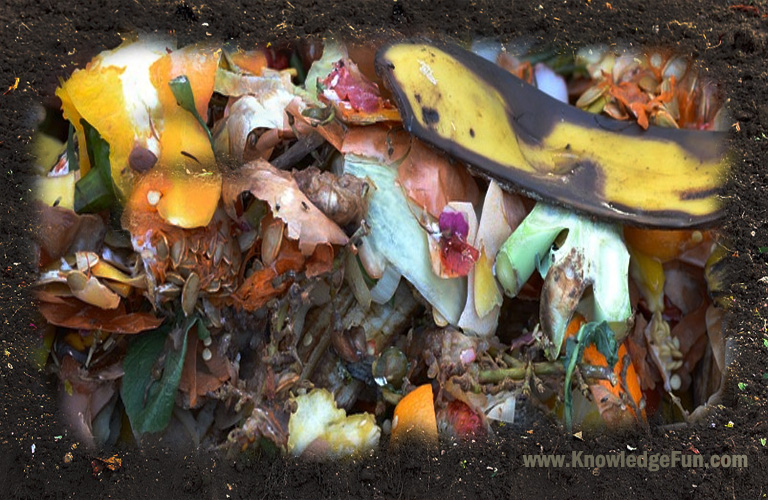composting image