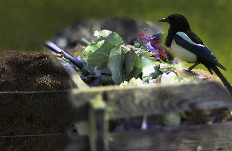 composting image