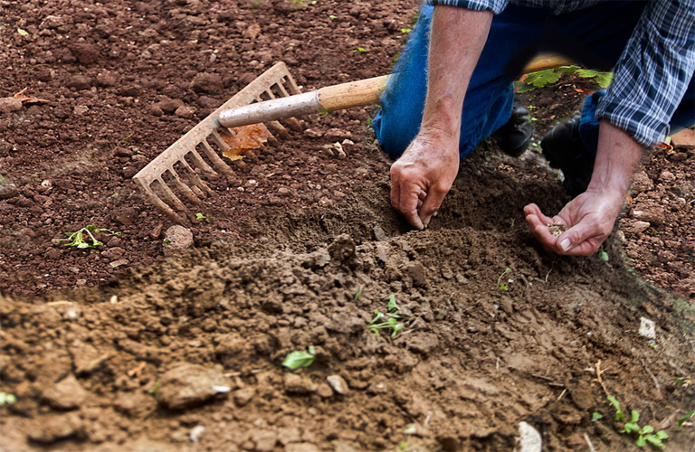 soil image