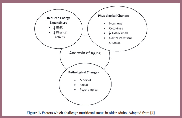 nutrition factors