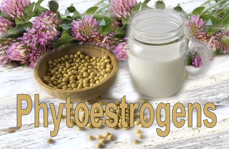 phytoestrogens