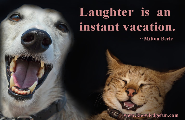 laughter image