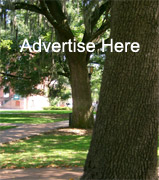 advertise here