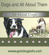 GetDogInfo.net