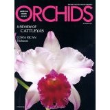 orchids